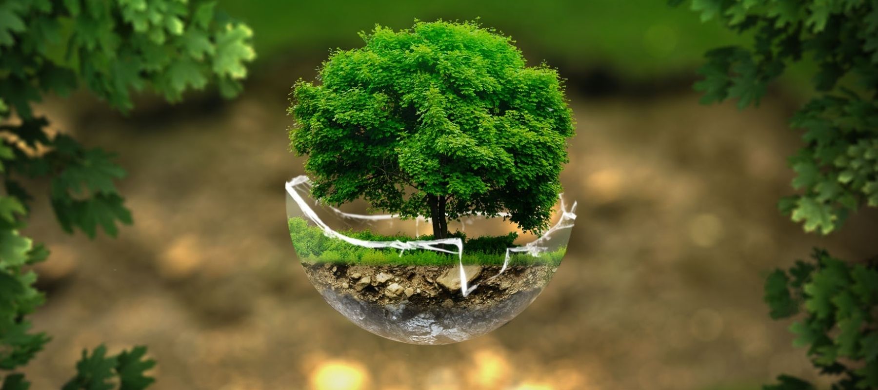 Is Bioethanol Eco-Friendly?