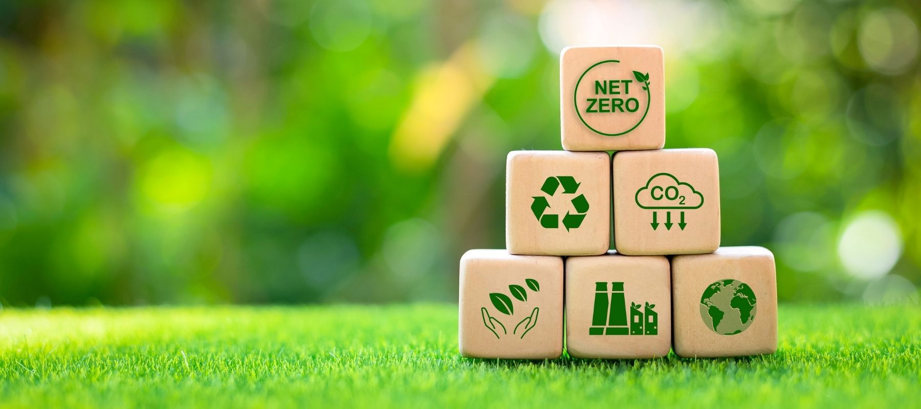 Is Bioethanol Renewable?