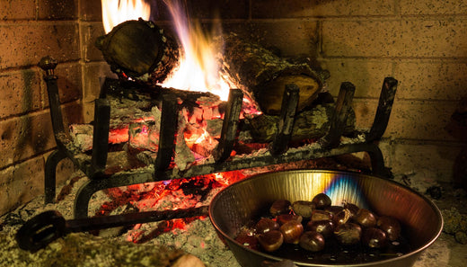 Open fire grate Or Log Burner?