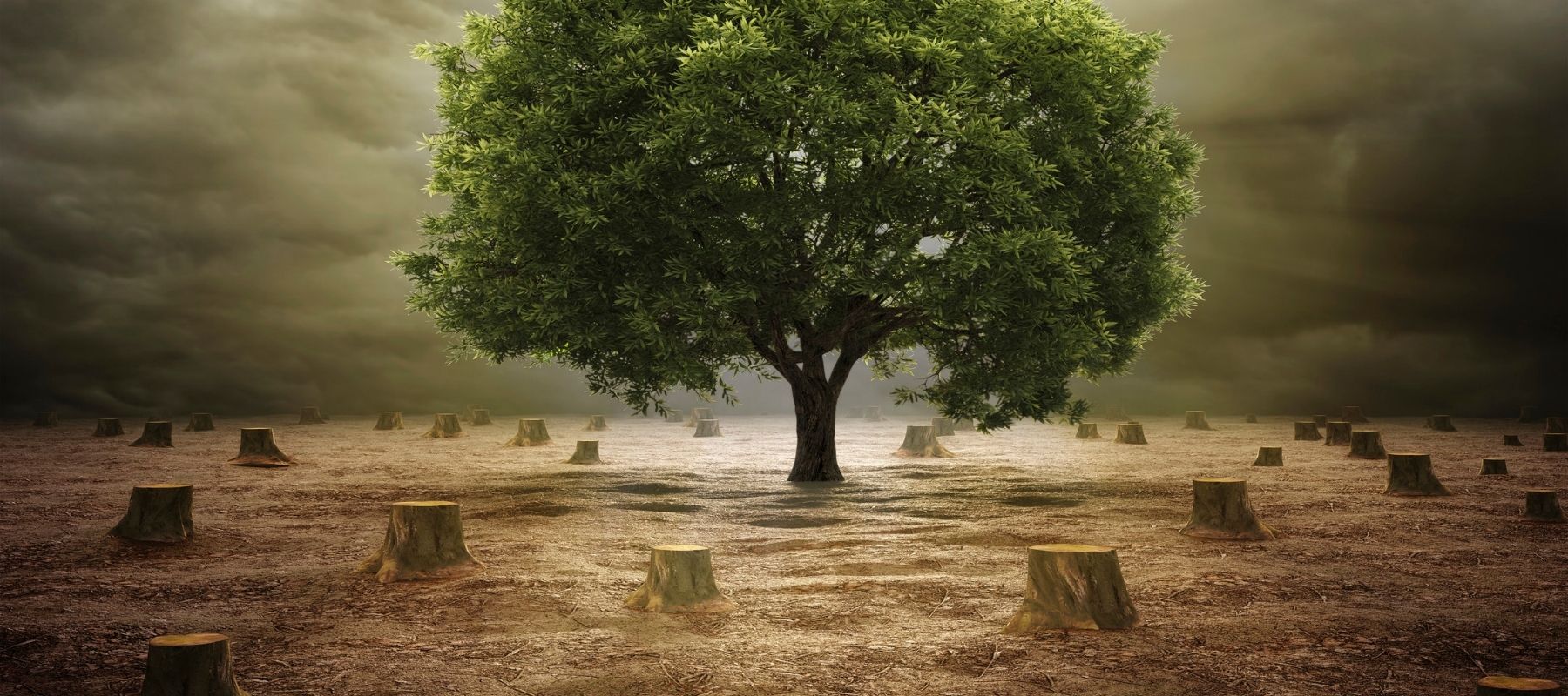 Why Are People Opposed to Bioethanol?