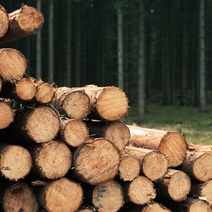 Are Log Burners Bad for the Environment? Let’s Get Real About Cosy Heat