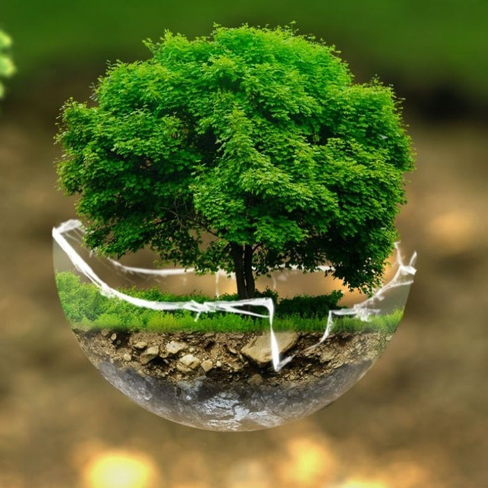 Is Bioethanol Eco-Friendly?