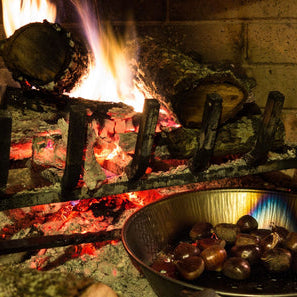 Open fire grate Or Log Burner?