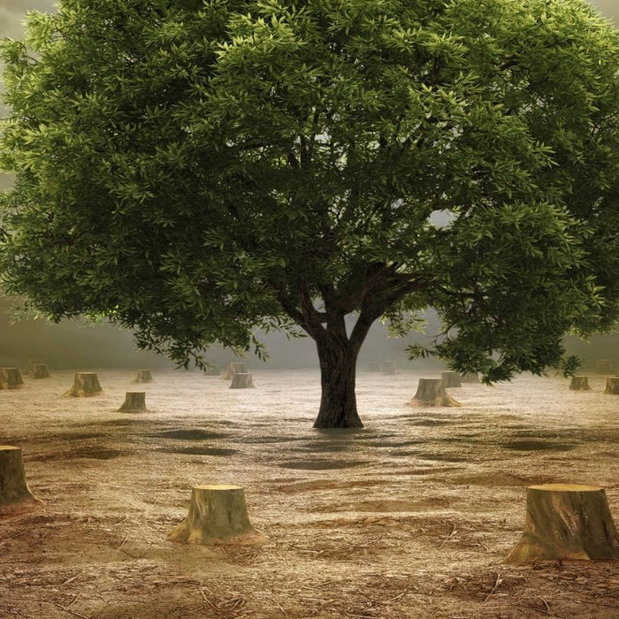 Why Are People Opposed to Bioethanol?