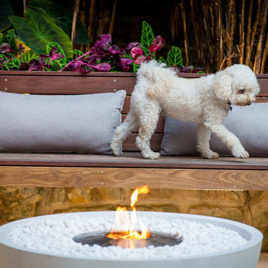 EcoSmart Mix 850 Fire Pit With Dylan