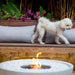 EcoSmart Mix 850 Fire Pit With Dylan