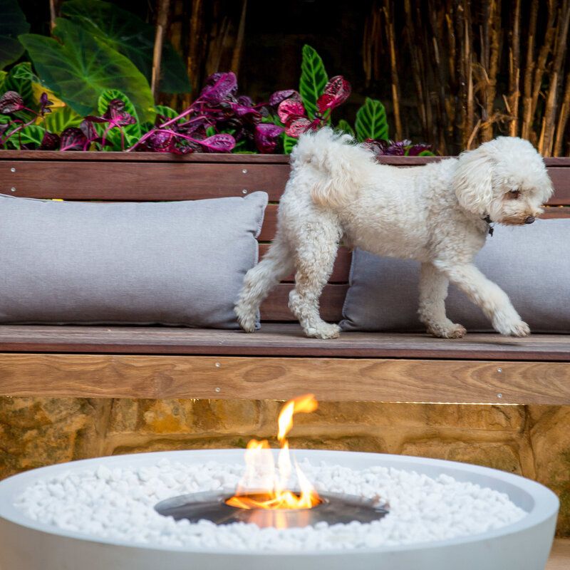 EcoSmart Mix 850 Fire Pit With Dylan